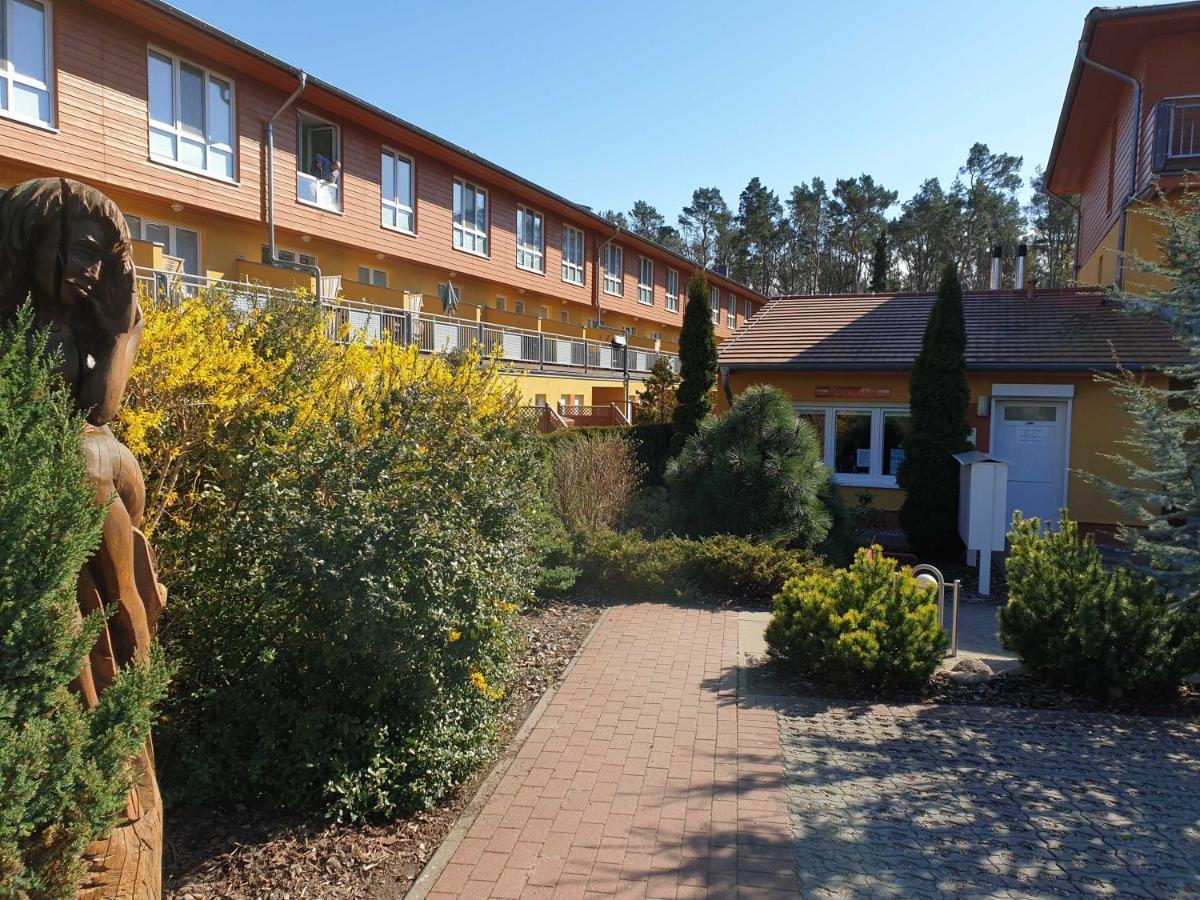 Zempin Ostseepark WE 08 **Insel Usedom**150m zum Strand** Exterior foto